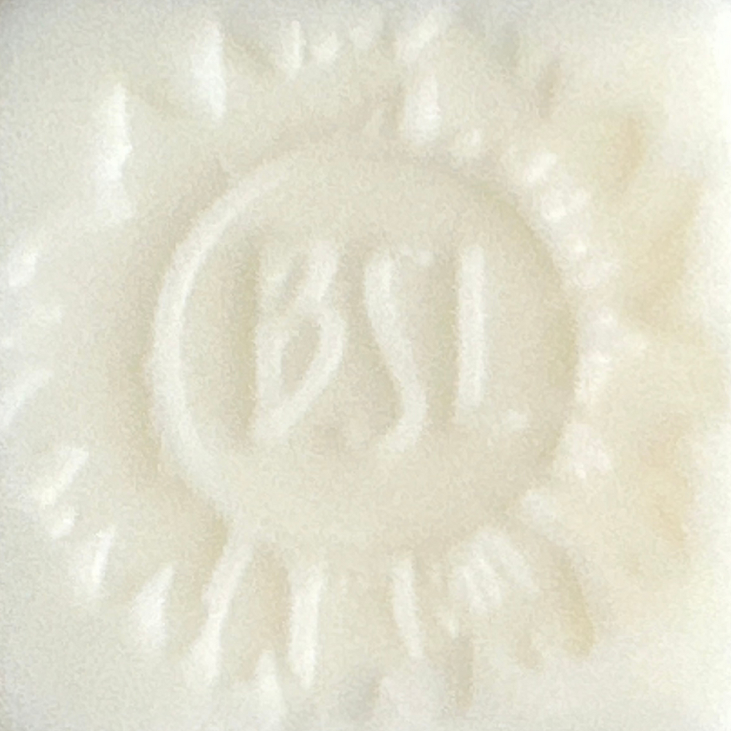 Sunflower Conditioner Bar