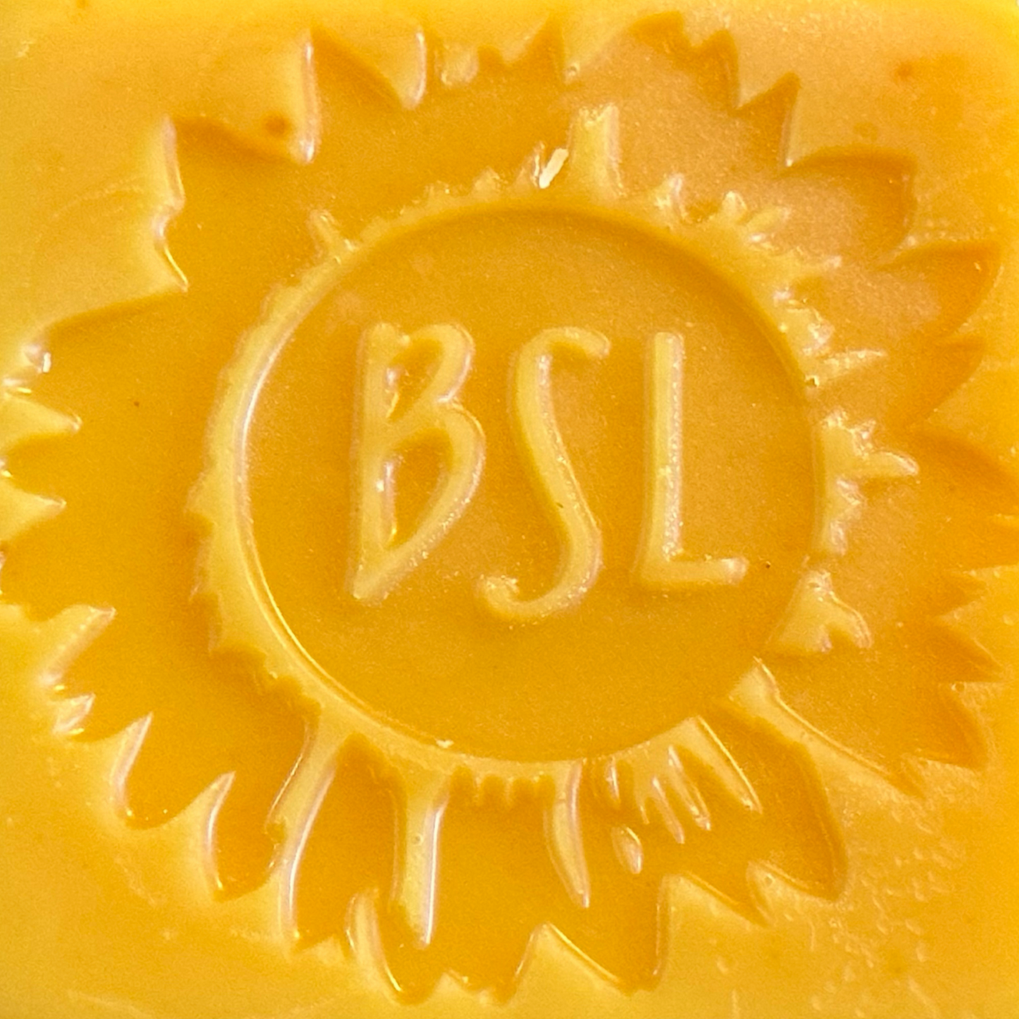Coconut Lemongrass Conditioner Bar