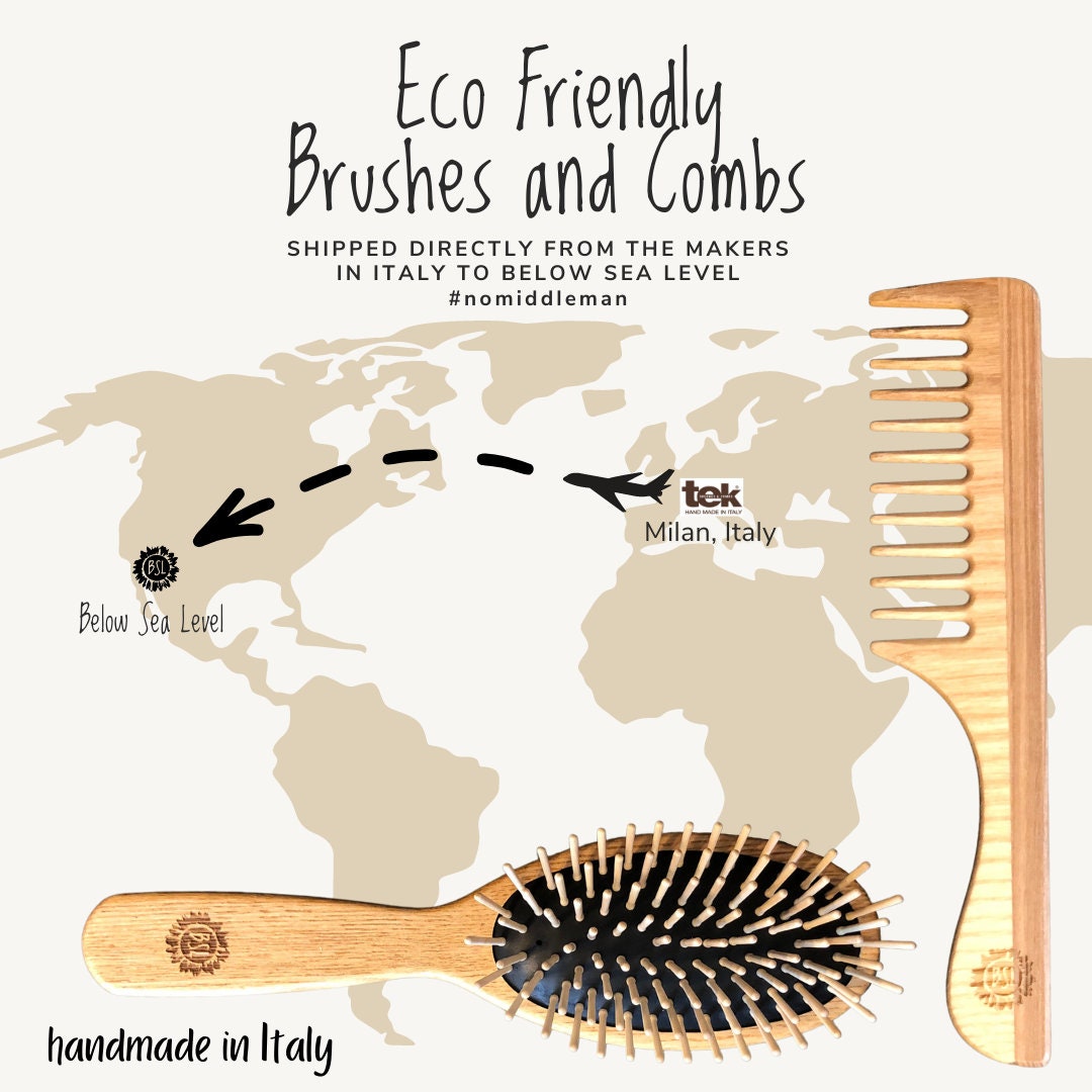 Ash Wood Brush
